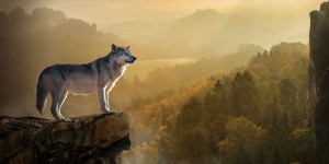 On the Sea of Tranquility casino refundable damage dumps