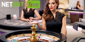 Mybet Untersuchung 2026 Online Spielsaal über kraut hot nudge Slot Erlaubniskarte
