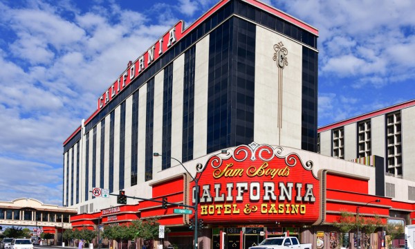 Seriöse Angeschlossen Casinos unter einsatz von schneller Ausschüttung Coyote Moon Spielautomat 2026